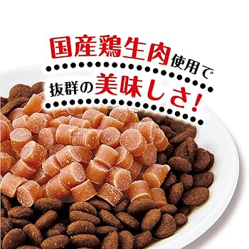 ドッグフード Taotao PETOKOTO ペトコト ウェットドッグフード チキン 100g : Relish